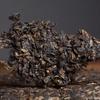 2007 Yunnan Meng Hai Qi Zi Bing Cha Classic FU HAI 7536 Puer Tea Pu'er Raw 357g