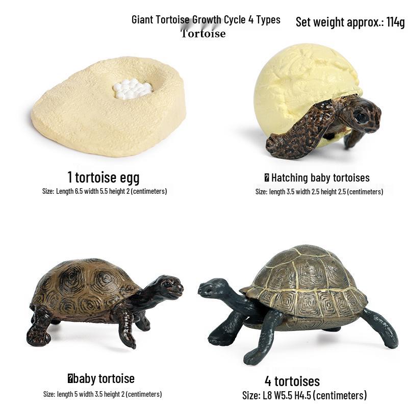 Children's Cognitive Marine Animal Models: Sea Turtle and Tortoise Toys