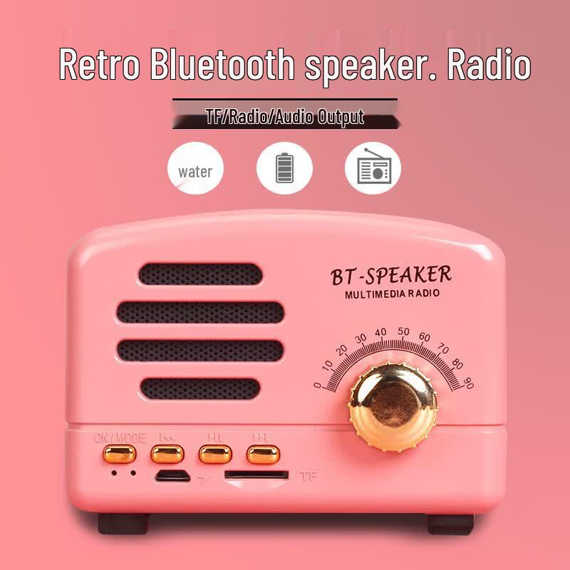 SMEBERT BT01 Karaoke Bluetooth Speaker (CN version)