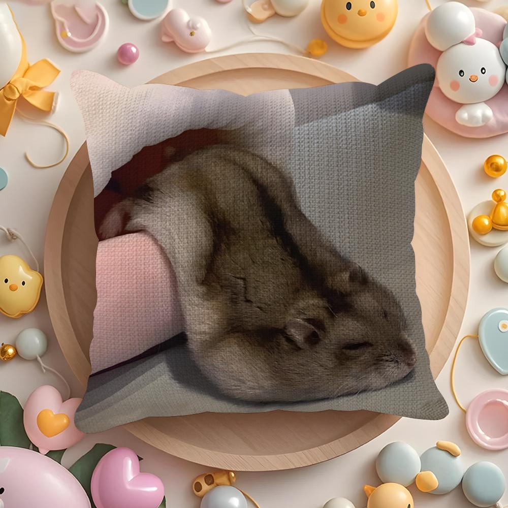 Funny Hamster Meme Cute Fun Party Pillow Case Sofa Living Room Bedroom Headboard Backrest Cushion Square Cushion
