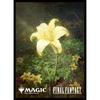 Magic: The Gathering?FINAL FANTASY Player's Card Sleeve Secret Lair Drop "Gilded Lotus" MFS-41