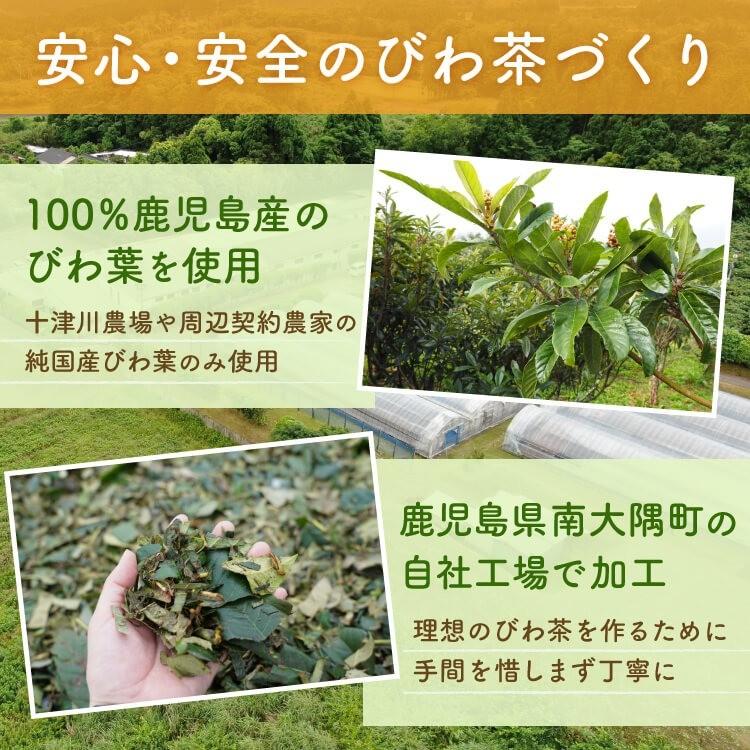 Japan Kagoshima Totsukawa Farms Biwa Tea (5 tea bags)