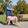 Adjustable Dog Lift Harness Thickened Grip Pet Auxiliary Vest Pet Support Sling  Disability Aid