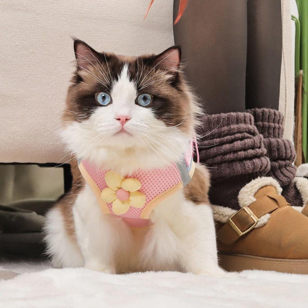 Anti Escape Dog Leash Set No Pull Cat Chest Strap Pet Harness Vest  French Bulldog Chihuahua Pug