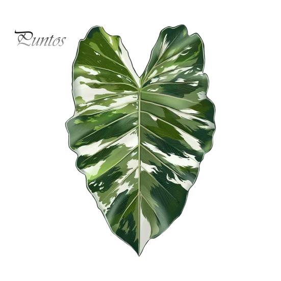 Tropical Plant Refrigerator Magnets 3D Plants Magnet, Acrylic Green Decorative Fridge Home Decor Memo Notes Photo Holder for Kitchen Office