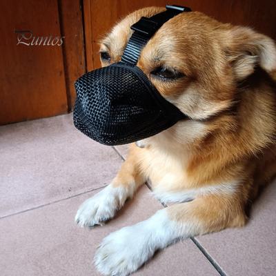 Verstelbare zachte mesh hondenmuilkorf voor kleine, middelgrote en grote honden. Voorkomt bijten en kauwen. Ademende hondenmuilkorf.