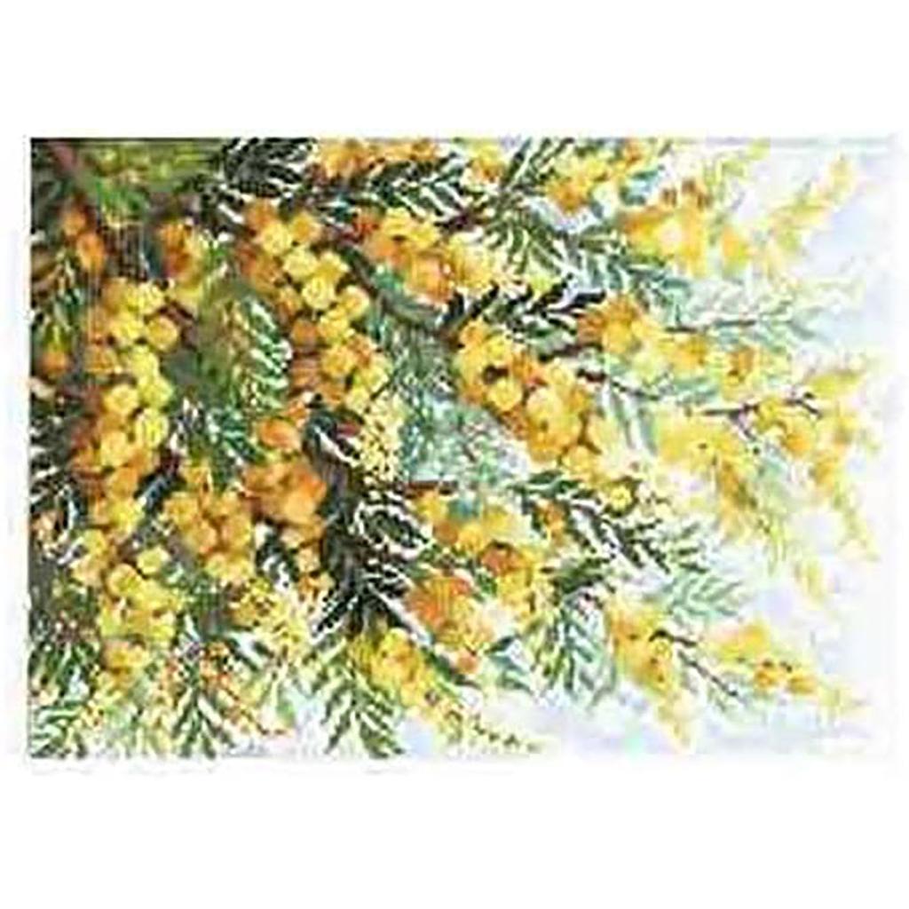 Olympus embroidery kit 7178