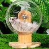 Wooden Stand Hamster Exercise Wheel Transparent Hamster Running Stand  Golden Bear