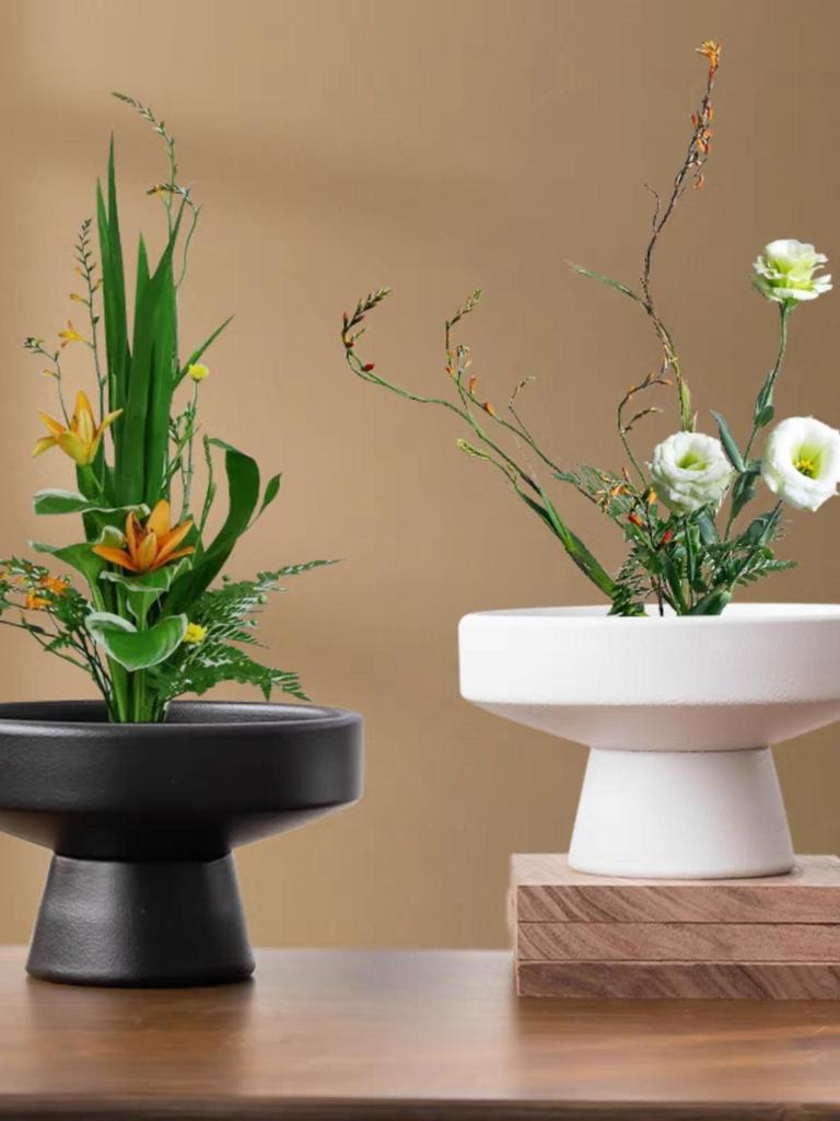 Modern Ceramic Tea Snack Plate with Fern Hydroponic Plant Holder