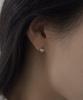 Faye 14K Momo Earrings