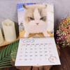 Newest Cute Cat 2026 Calendar Monthly and Daily Planner with Adorable Frog-Eyed Kitten Design Funny Family Planner
