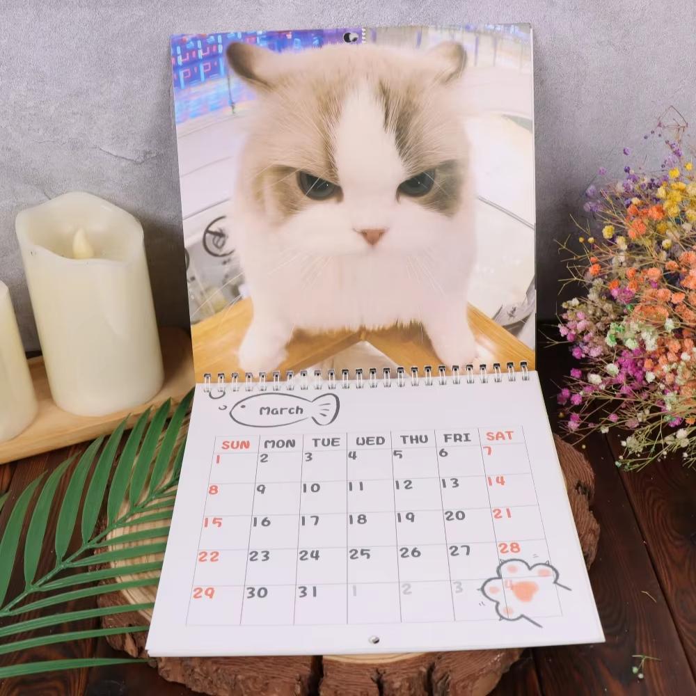 Newest Cute Cat 2026 Calendar Monthly and Daily Planner with Adorable Frog-Eyed Kitten Design Funny Family Planner