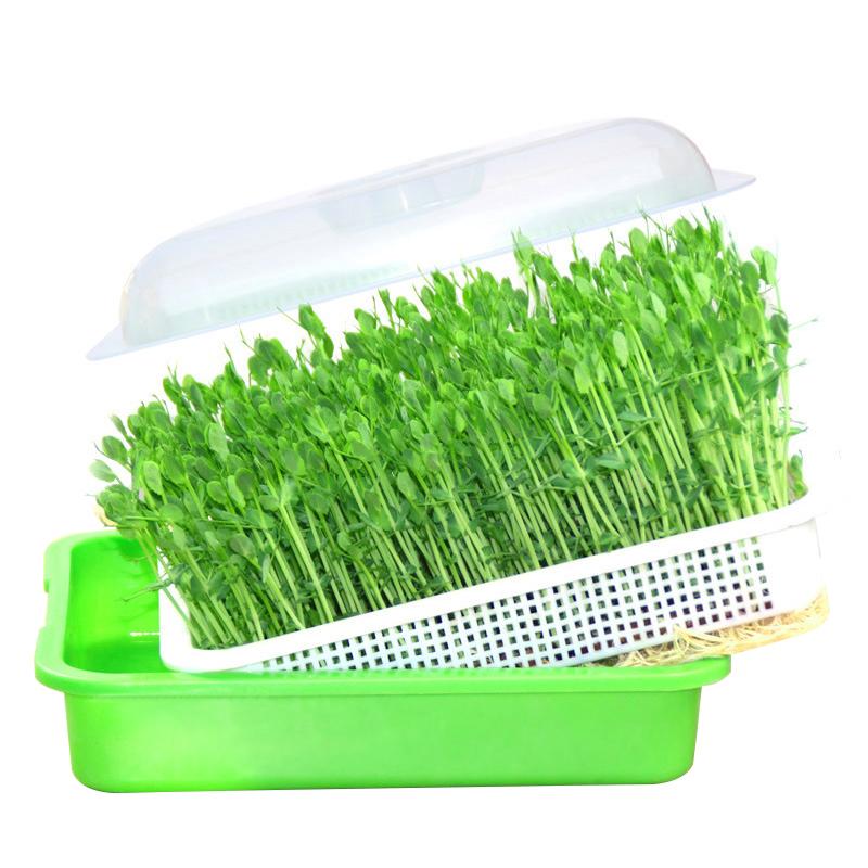 1 zestaw doniczki do kiełkowania, doniczka do kiełkowania, hydroponiczna, fasola warzywna, tacka do kiełkowania, dwuwarstwowa, domowa, dla kota, trawa, tacka do żłobka