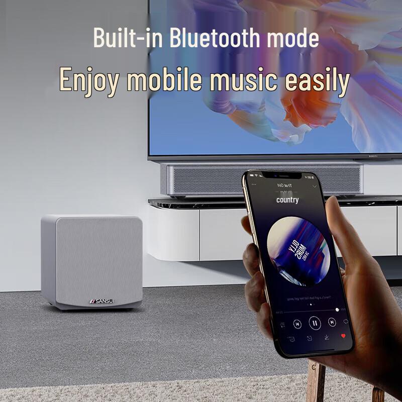 Sansui Home Theater KTV Soundbar System CN plug (adapter included)