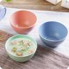 Eco-friendly Wheat Straw Children Rice Noodle Salad Bowl Household Tableware Plate Snacks Dish Eco-friendly Kitchen Tableware