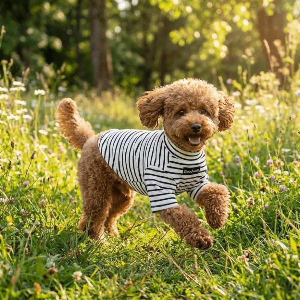 Dog Clothing High Collar Dog Thermal Shirt Soft Two Leg Dog Base Coat Comfortable Warm Pet Warm Sweater Small Medium Dog