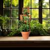 Tre Plantebrakett Bladform Espalier Klatreplante Støttestativ Enkel Installasjon Multifunksjonell Planteholder