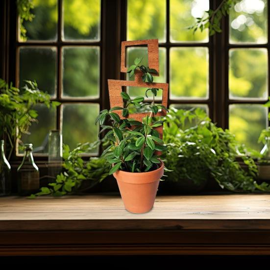 Tre Plantebrakett Bladform Espalier Klatreplante Støttestativ Enkel Installasjon Multifunksjonell Planteholder