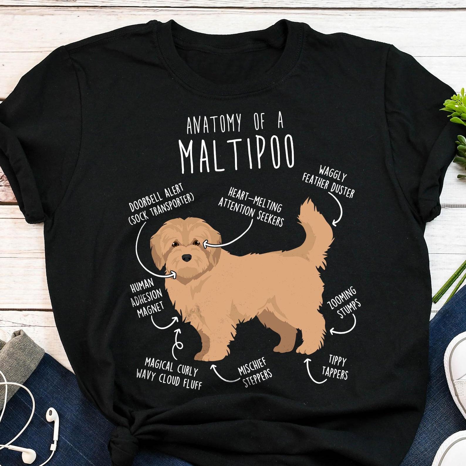 Cream Maltipoo Shirt, , , Funny Maltipoo Dog Lover Gift, Cute Maltipoo T-shirt, Doodle Poodle Mix Tshirt Pet Tee Mom Dad 140