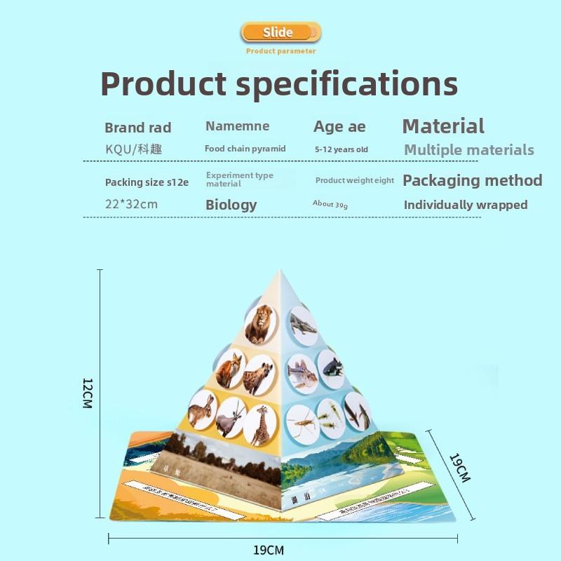 Paper Food Chain Pyramid Model Assembly Material Set Puzzle Toys For Children Educational Biology Set