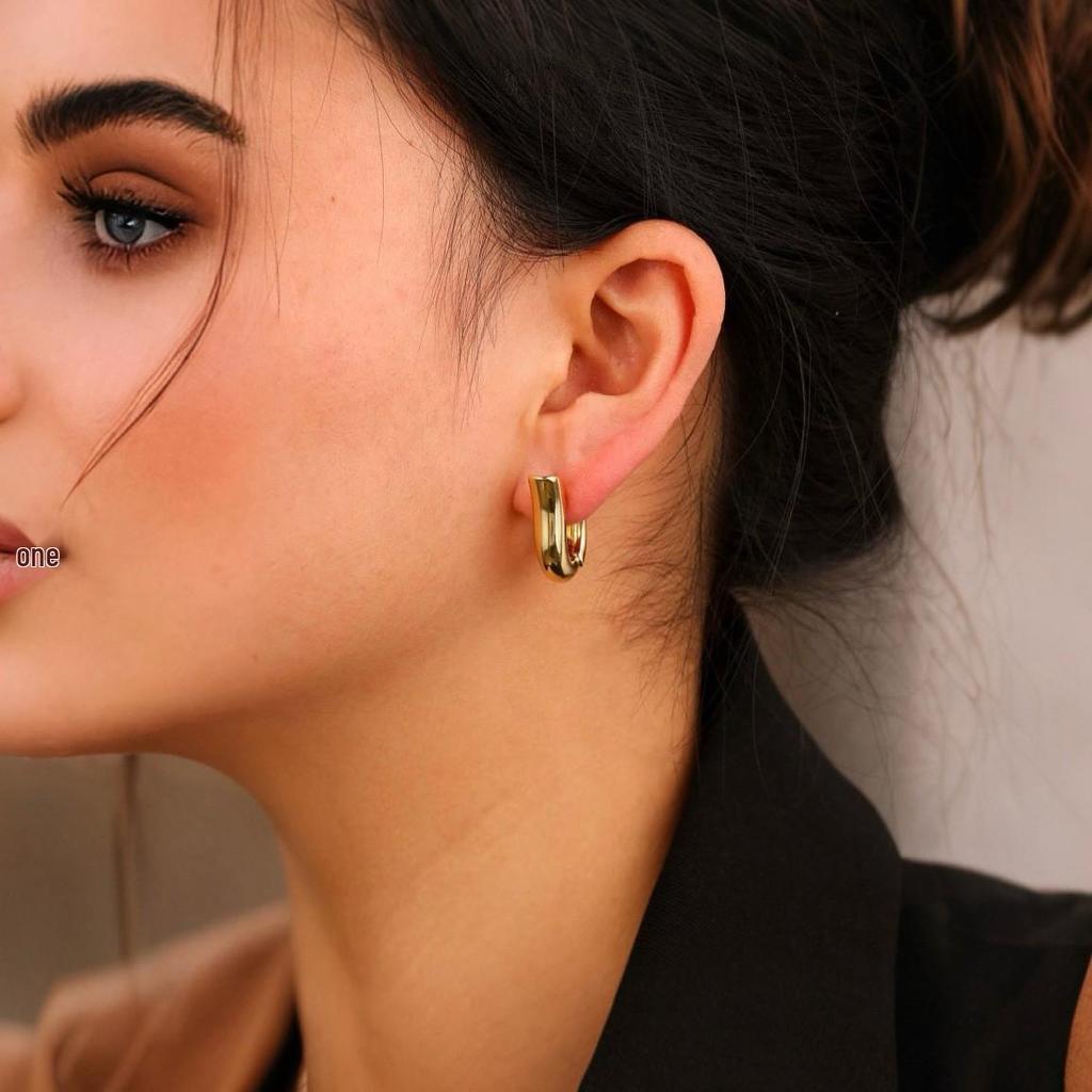 Exquisite unregelmäßige geometrische Nischen-Ohrstecker für Damen - Hochwertig, vielseitig