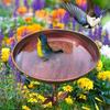 Iron Bird Feeder Ground Plugin Vintage Bird Water Bowl Bird Feeding Dish  Garden