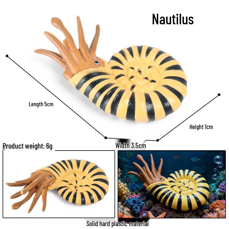 Children s Cognitive Toy: Nautilus & Seashell Plastic Ornament