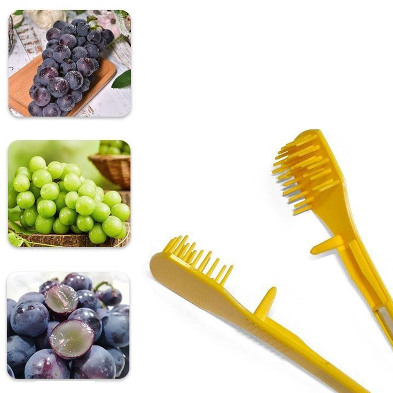 

Grape Bud Thinning Clip Ergonomic Grip Multifunctional Pruning Tool Length 17cm for Vineyard