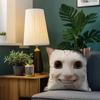 Cat Funny Meme cushion cover Birthday Anniversary Gifts Double Sided Printed Zipper Cushion Cover Soft Skin Bedding