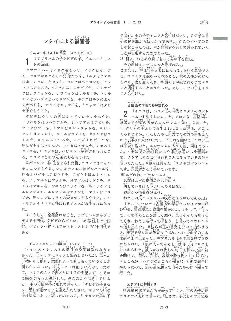 Medium-sized Handy Bible New Interconfessional Translation NI34H