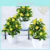 Simulation Lemon Plant For Home Decor And Gift Ideas