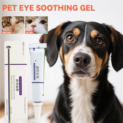 Haustier Augengel, Für Hunde und Katzen, Schnell wirkende Hornhautentzündung, Wirksam bei roten, geschwollenen und trockenen Augen