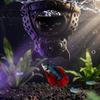 Shrimp Egg Laying Cave Xmas Aquarium Hideout, Shelter, Christmas Stocking Betta Fish Tank Hideaway Hide, Halloween Bat Hideout for Tanks Decoration
