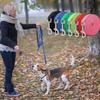 Newcomer Offer: Pet Canvas Rope Dog Leash for Training Medium-Sized Dogs