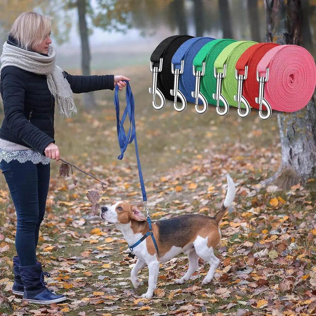 Newcomer Offer: Pet Canvas Rope Dog Leash for Training Medium-Sized Dogs