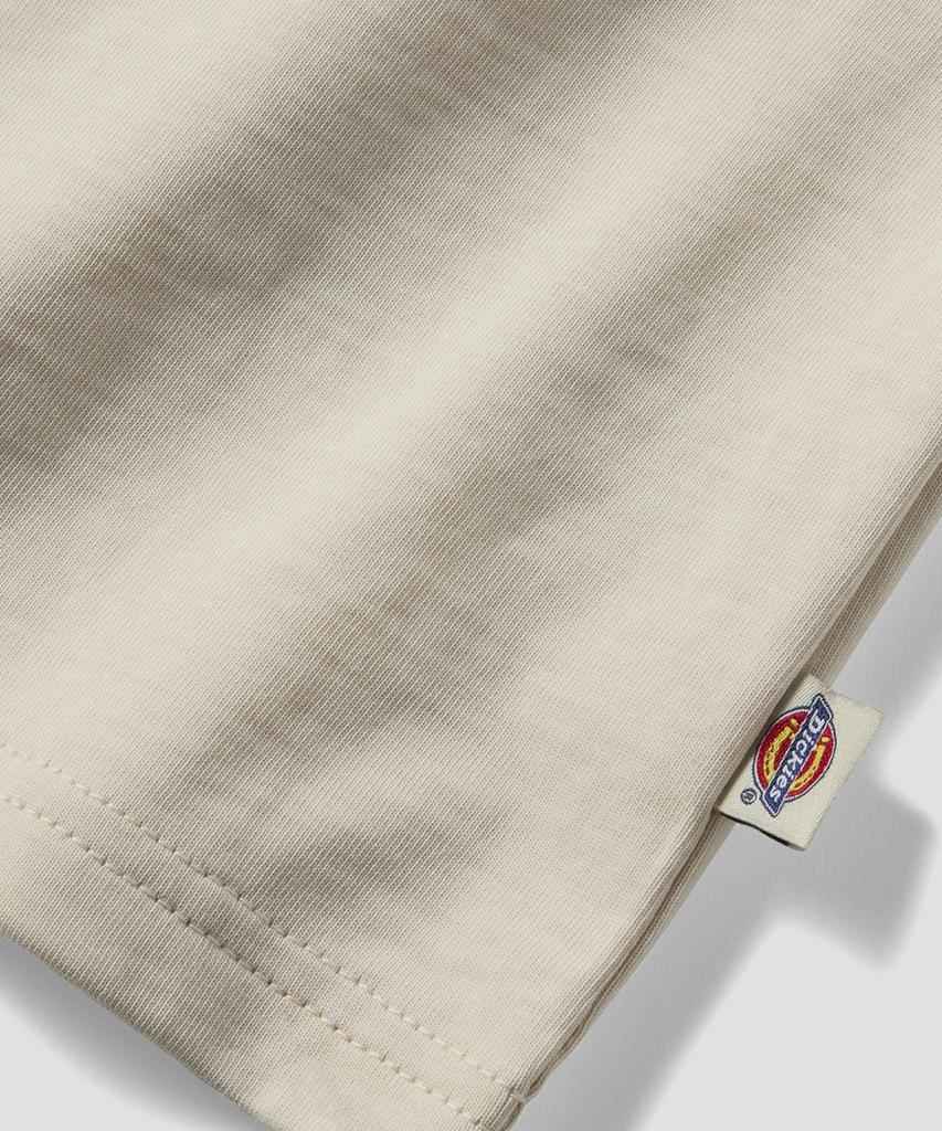 Dickies X Harley Davidson Grafisch T-shirt Bot