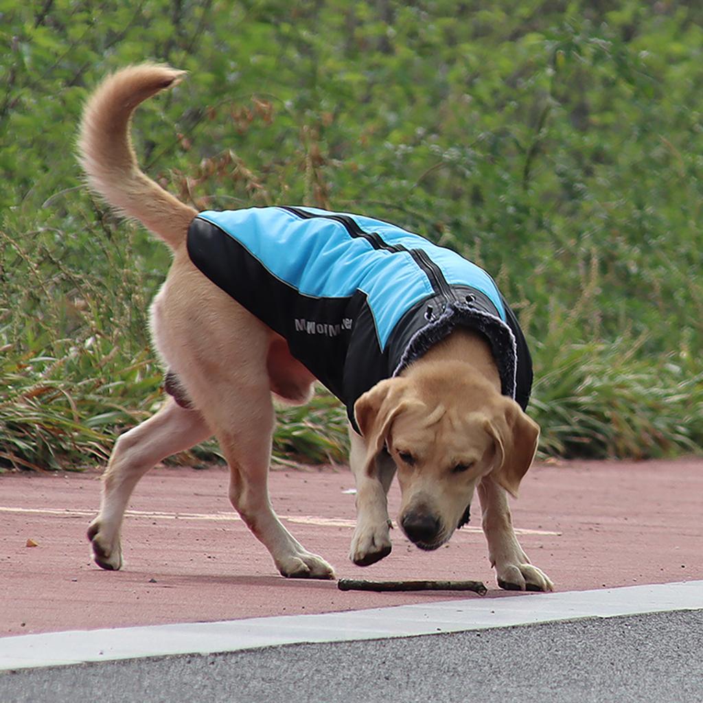 Reflective Dog Vest For Walking At Night Waterproof Dog Coat Winter Dog Clothes Jacket Pet Dog Coat With Harness