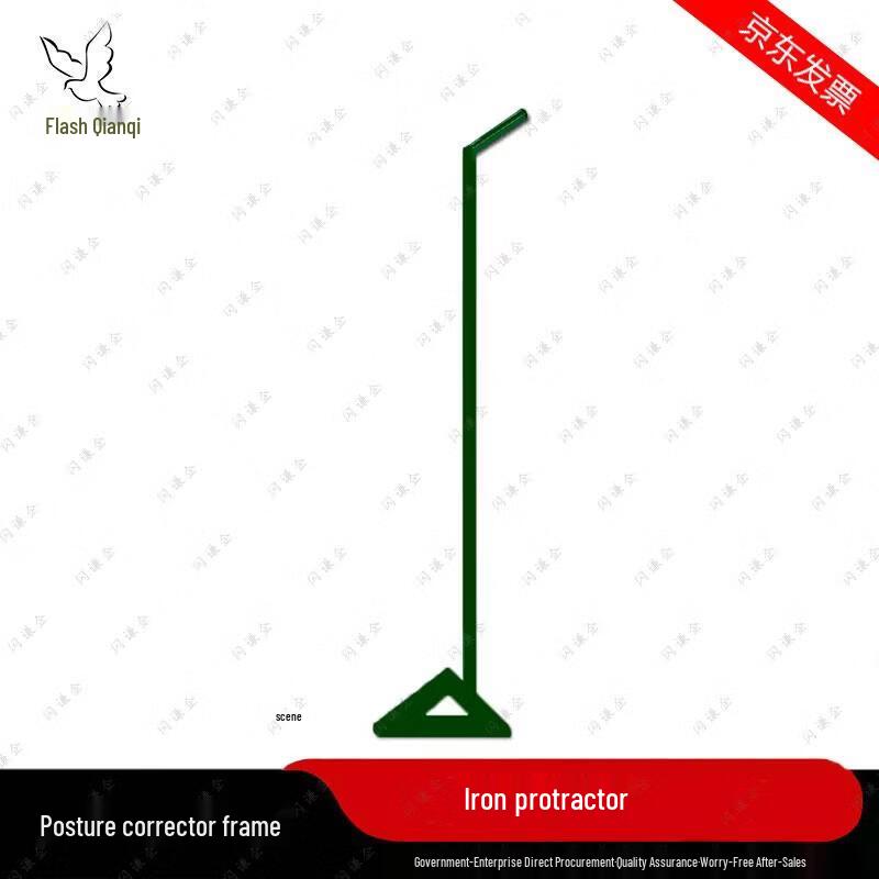 Posture & Drill Training Aid