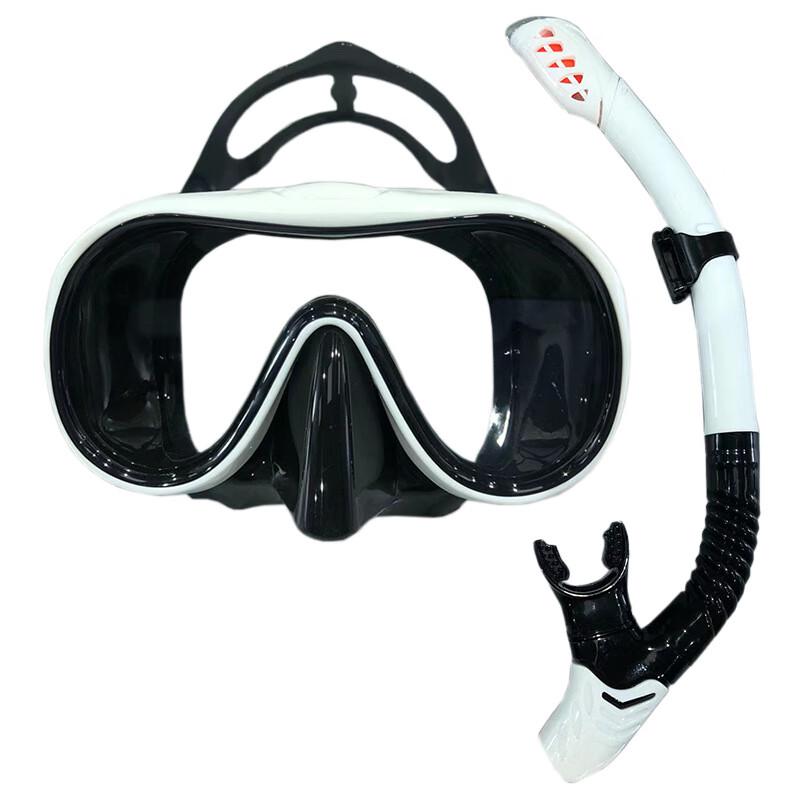 Adult Diving & Snorkeling Mask Kit