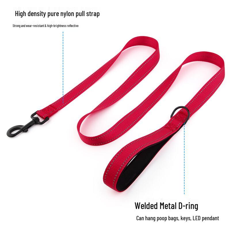 TLXT Reflective Nylon Dog Leash