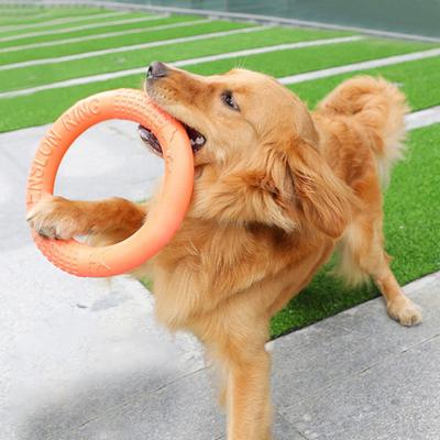 1 Stück Hundespielzeug Haustier Frisbee Trainingsring Zerrspielzeug EVA Interaktiver Trainingsring Zerrspielzeug Widerstandsfähig für Hunde