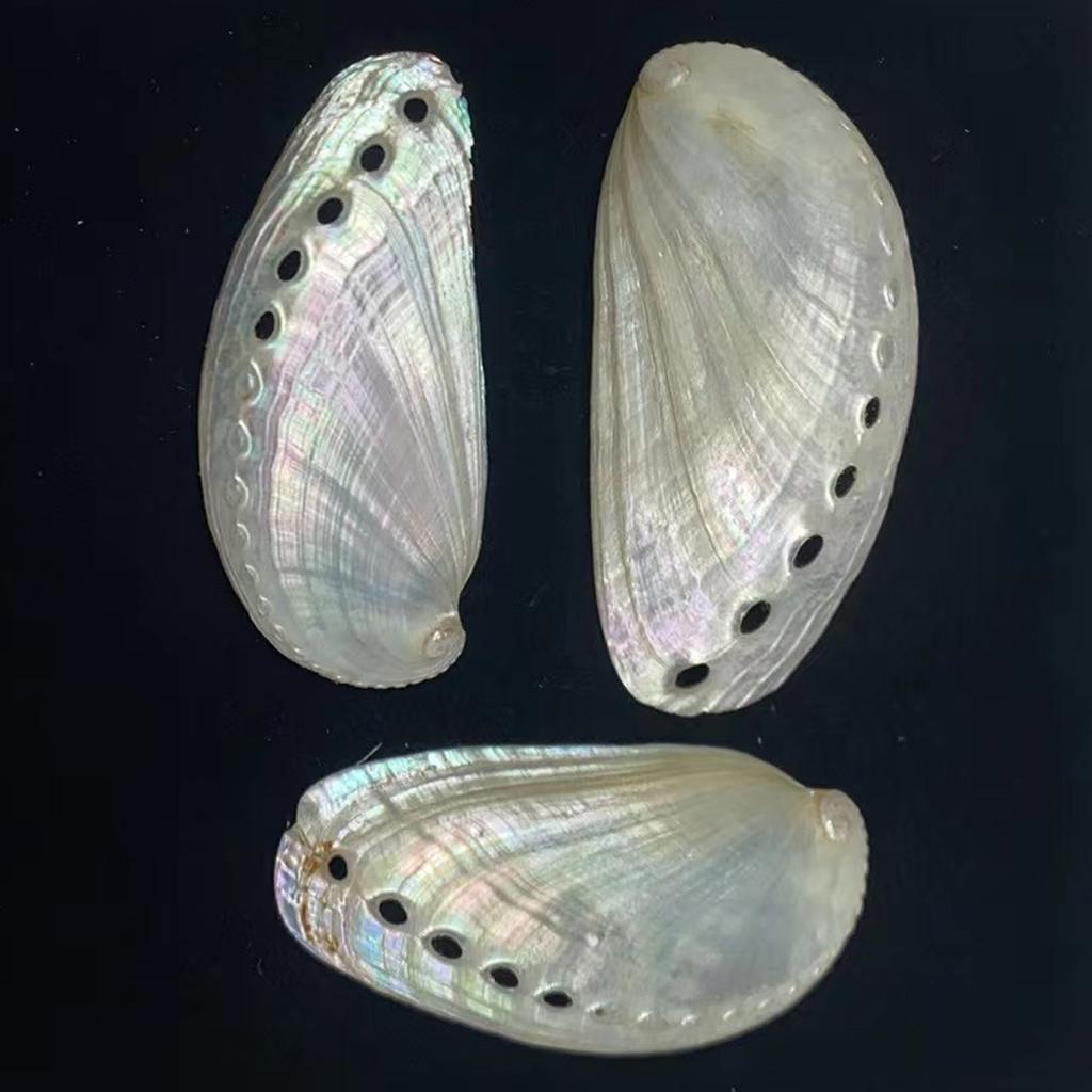 10Pcs/Pack Natural Peeled Abalone Shell Slices 40-64mm Iridescent Mother Of Pearl Abalone Shell With Holes For DIY Pendant Resin Craft Jewelry Making