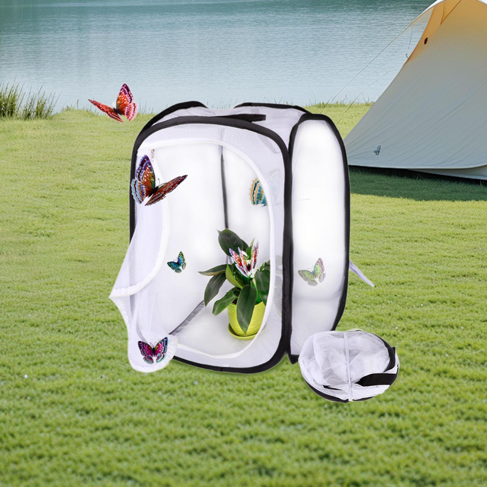 

Клетка для обитания бабочек Террариум Раскладной Гусеница Растет Легкий для Детей и Size M