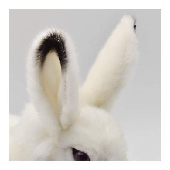 BH7851 HANSA Arctic Rabbit 30
