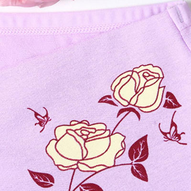 Majtki Bawełniany Krok Duży Rozmiar Jednolity Kolor Damska Bielizna