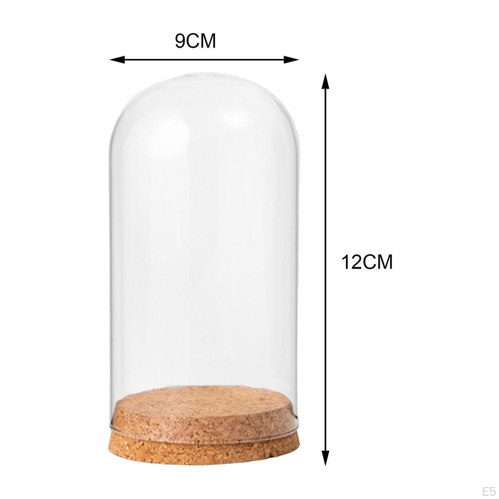 Cloche Bell Jar Display Dome Case with Wood Base Container Centerpieces Cover