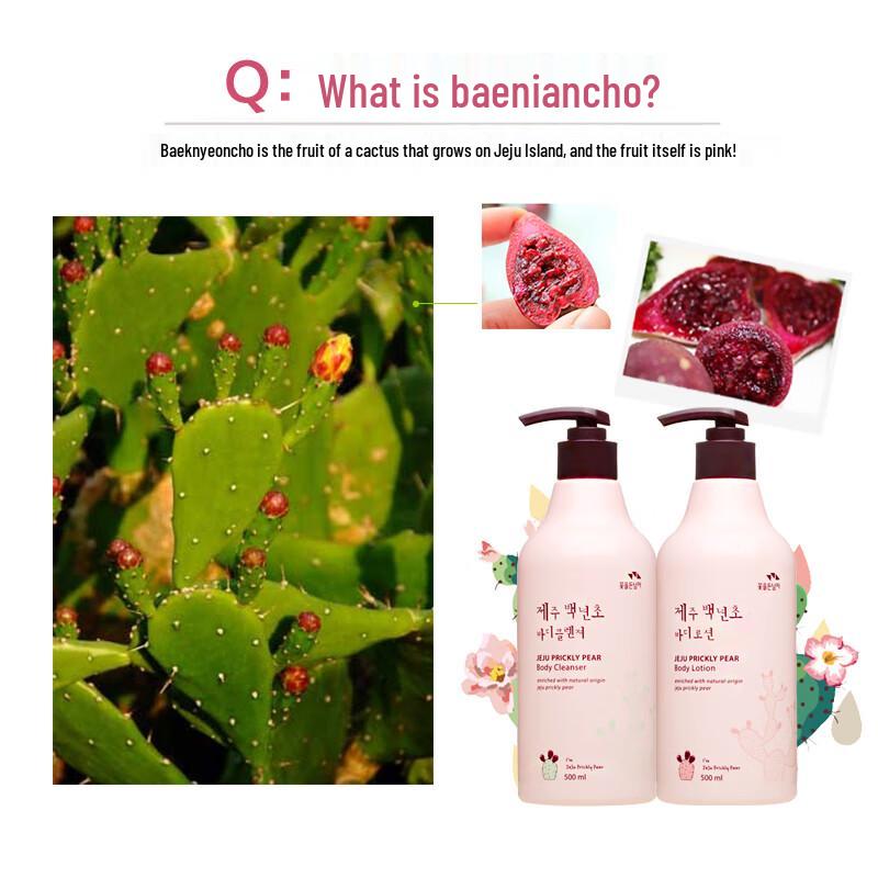 SOMANG Jeju Cactus Body Care Set