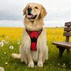 Anti-Zug Hundegeschirr Gepolstertes Hundegeschirr mit Einstiegsdesign Anti-Zug Kontrollgeschirr mit Verstellbaren Gurten für Hunde aller Größen