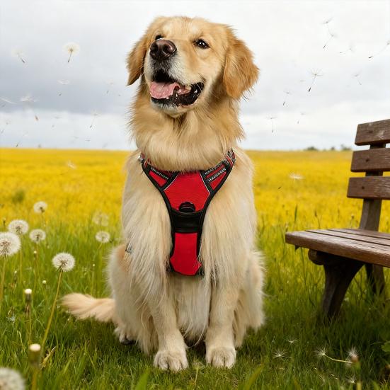 Anti-Zug Hundegeschirr Gepolstertes Hundegeschirr mit Einstiegsdesign Anti-Zug Kontrollgeschirr mit Verstellbaren Gurten für Hunde aller Größen