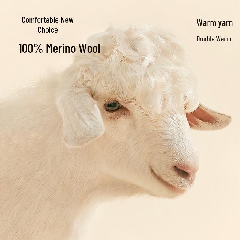 Caizi Men's Pure Wool Slim Fit Pullover Sweater